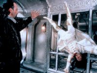 Колдовская любовь (1997)