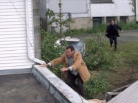 Бессонница (2002)