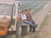 Укрощение строптивого (1980)